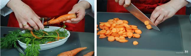 carote-vichy proc-1